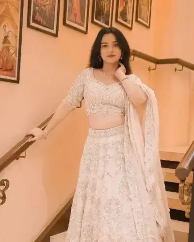 Escort Service In Mehgaon
